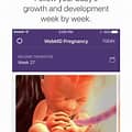 WebMD Pregnancy app screenshot