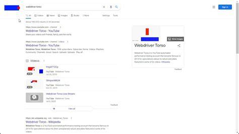 Webdriver Torso Google Easter Egg