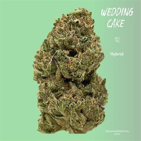 Indulge in Bliss with Wedding Cake Marijuana Strain