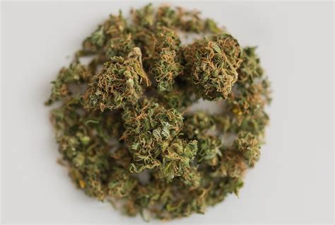 Weed Cart Laced