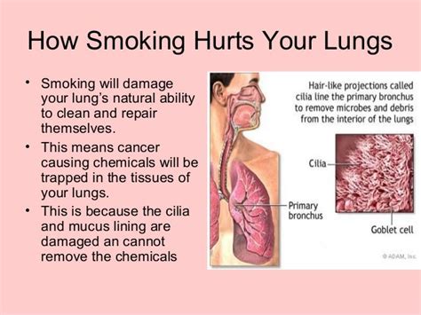 Weed Carts Lungs