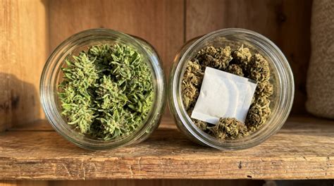 Weed Carts Shelf Life