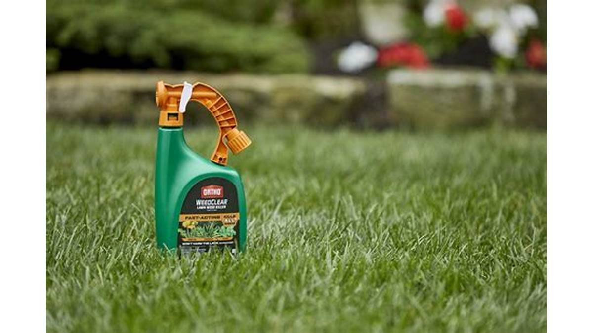 Weed Control Lawn