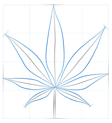 Weed Drawing