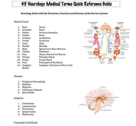 Week 8 Terminology Worksheet Neurology
