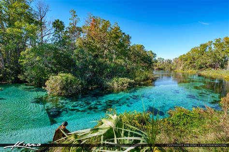 Weeki Wachee River