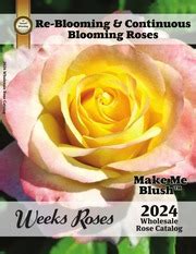 Weeks Roses Catalog
