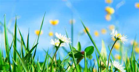 Weeks Until Spring 2024