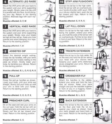Weider 2980 X Exercise Chart