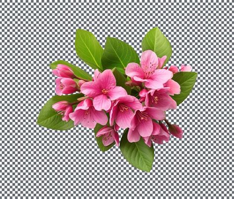 Download Weigela Flowers Files DXF Files