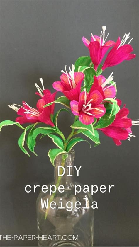 Download Weigela Flowers Files For Crafts