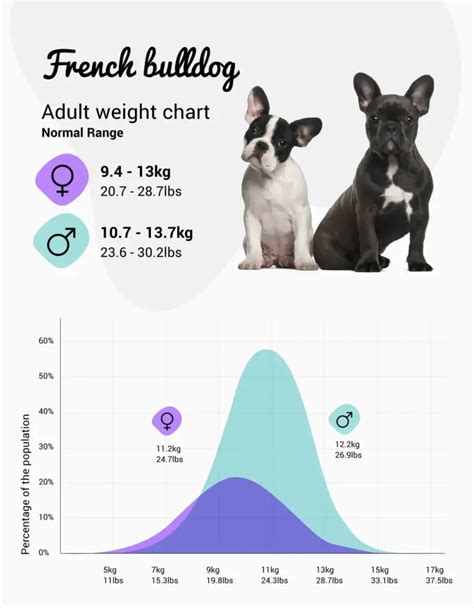 Weight Chart For French Bulldog