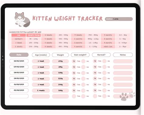 Weight Chart For Kittens