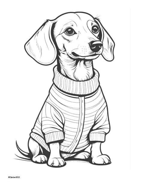 Weiner Dog Color Page