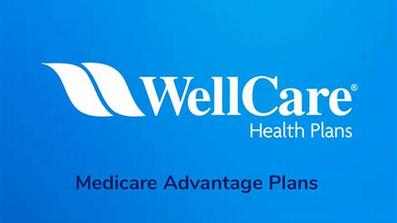 Wellcare Value Script Formulary 2024 Pdf Free Download