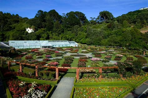 Wellington Botanic Garden
