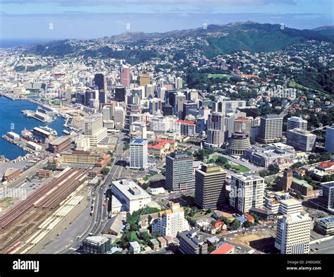 Wellington City View