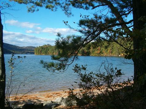Wellington State Park Camping
