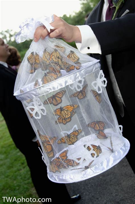 We’re Having A Butterfly Themed Wedding – Release The Butterflies!