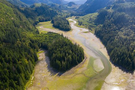 West Coast Conservation