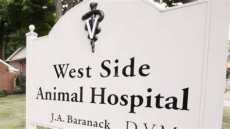 West Side Animal Hospital Alliance OH: Expert Veterinary Care for Your Furry Friends