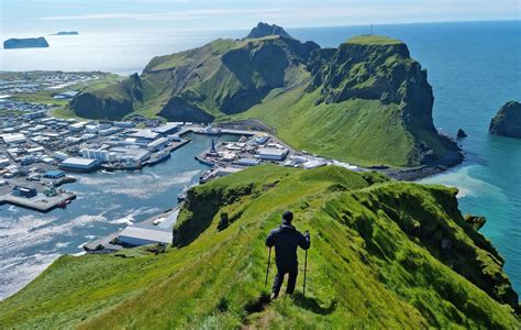 Westman Islands Experience