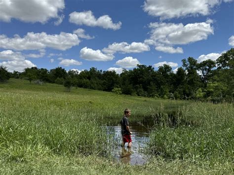 Wetlands Exploration Tips