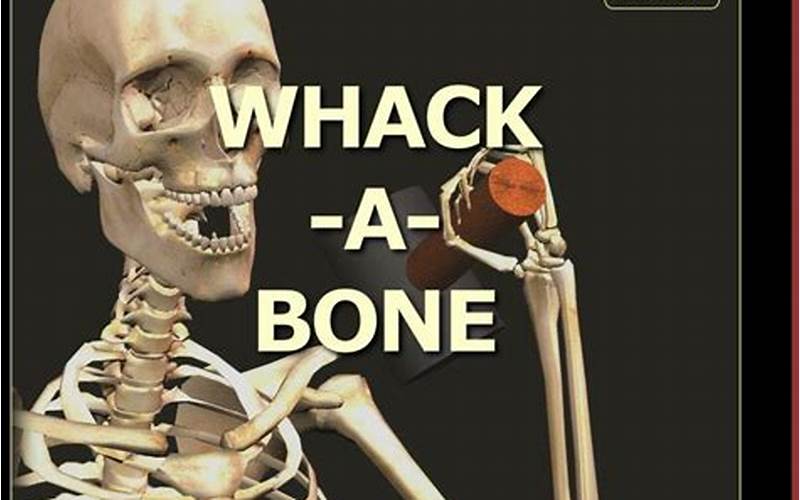 Whack a Bone Poke a Muscle: A Guide to Relieving Muscle Pain