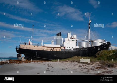 Whale Chaser Cheynes IV