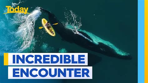 Whale Encounter Testimonial