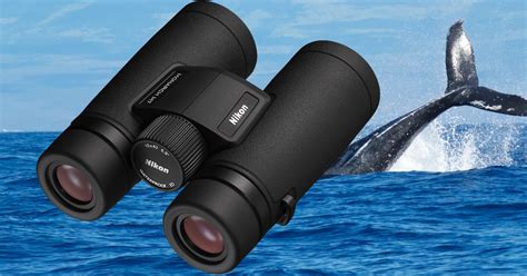 Whale Watching Binoculars