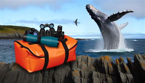 Whale Watching Gear