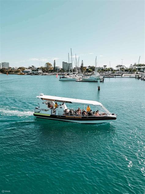 Whale Watching Operator Mooloolaba