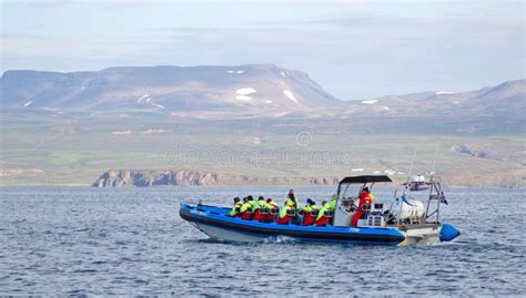 Whale Watching Speedboat