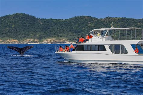 Whale Watching Tour Checklist