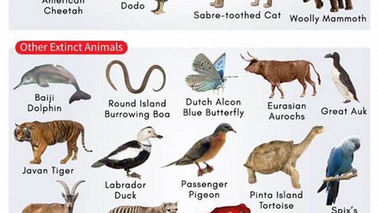 What Animals Are Extinct 2024