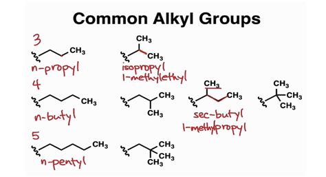 What Are Alkyl Groups?