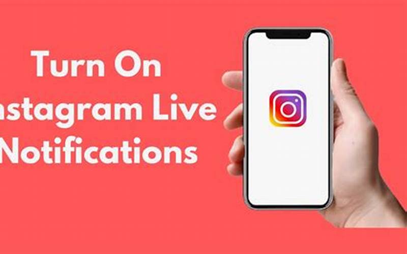 What Are Live Video Notifications