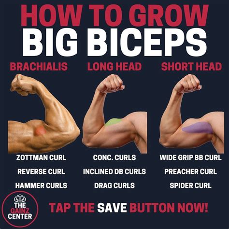 What Are Some Other Tips For Bicep Growth?