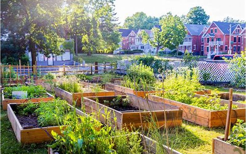 What Are Sustainable Community Gardens?
