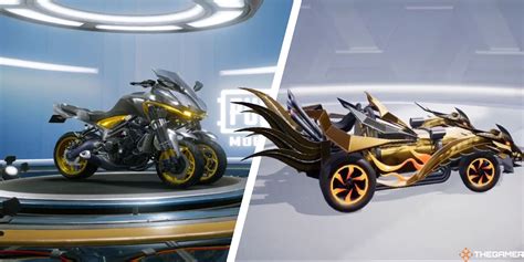 What Are The Vehicle Skins?