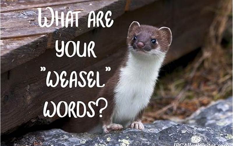 What Are Weasel Words
