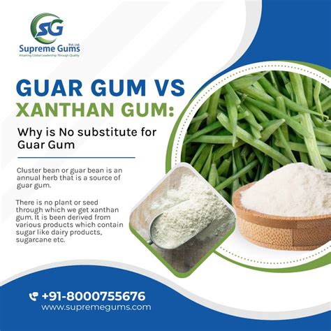 What Are the Alternatives to Guar Gum?