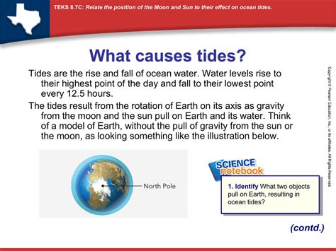 What Causes The Tides Worksheet Answers