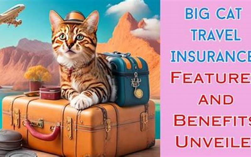 What Does Big Cat Travel Insurance Cover