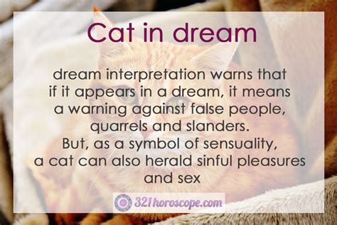 What Does It Mean When You Dream of a Cat?