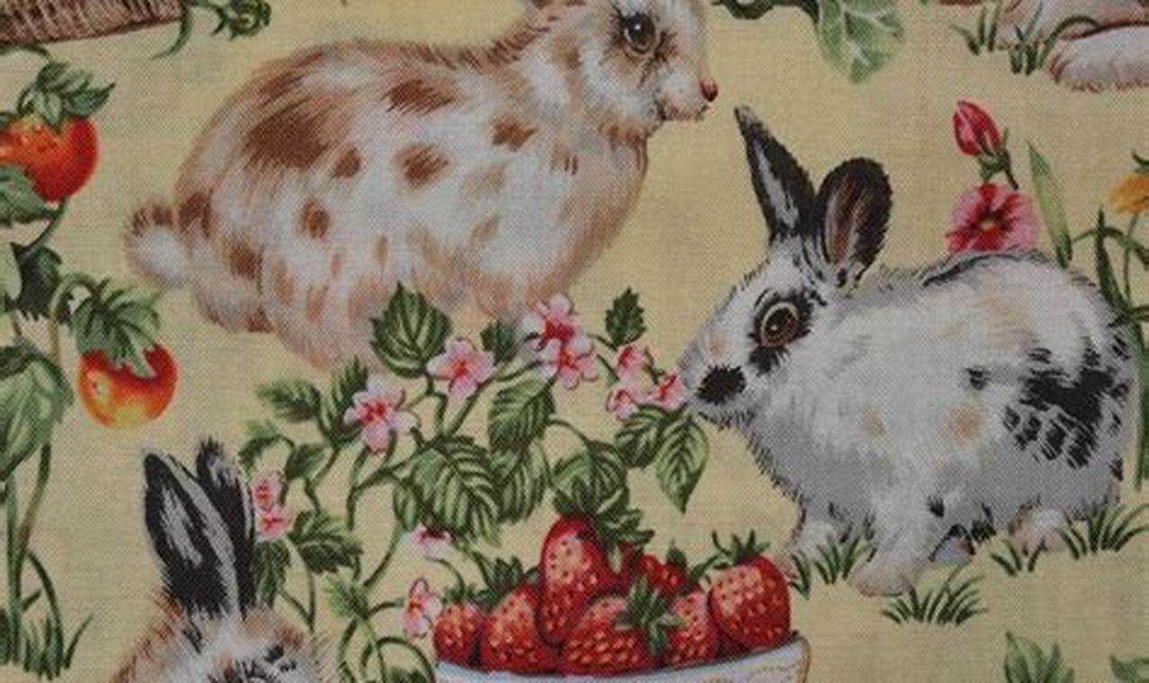 What Fabric Is Safe For Rabbits