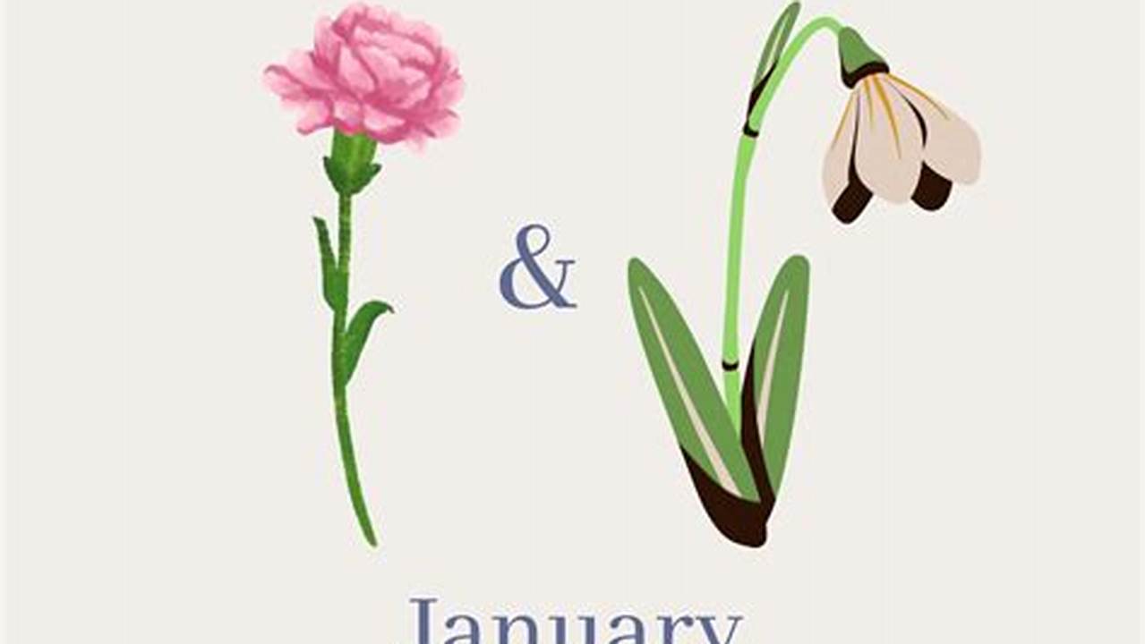 What Flower Represents January 2025