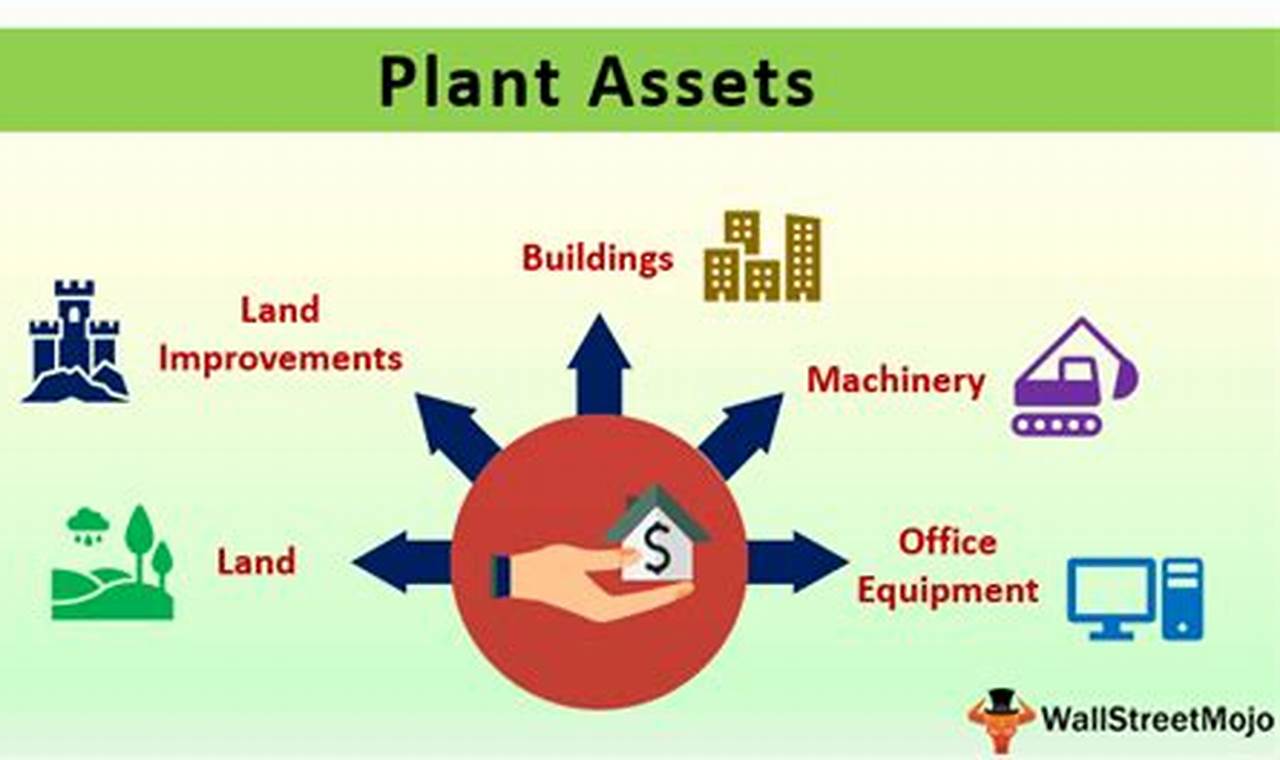 What Is A Plant Asset
