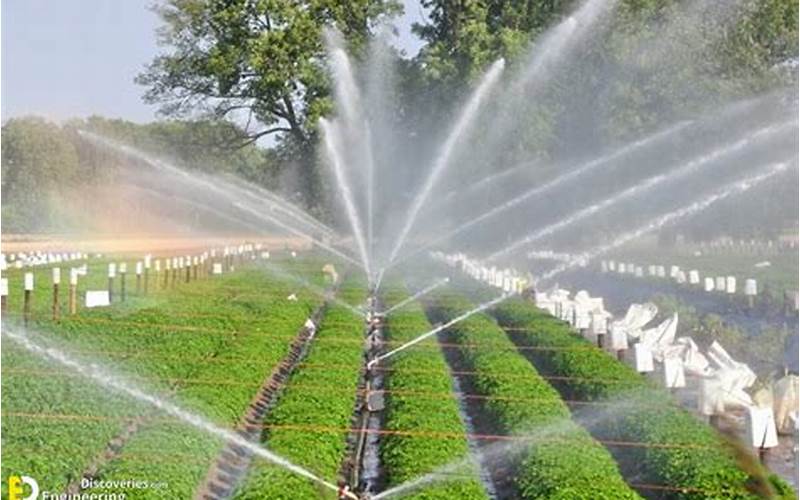What Is An Irrigation System